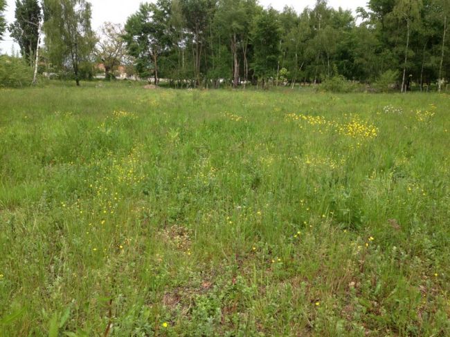 terrain 685 M², 33710 Prignac et Marcamps