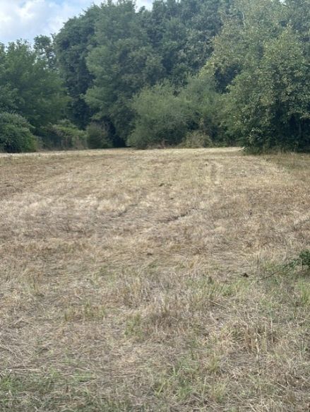 terrain diffus de 1240 m² présenté par les Demeures d'Aquitaine borné et non viabilisé sur Le Pian Médoc 33290