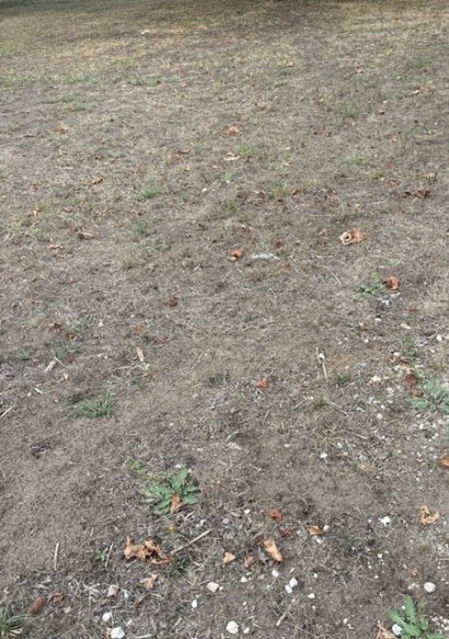 issus d'une DP terrain en première ligne de 756 m² sur la commune de Soussans 33460 proche du bourg et des écoles  idéal primo accédant
