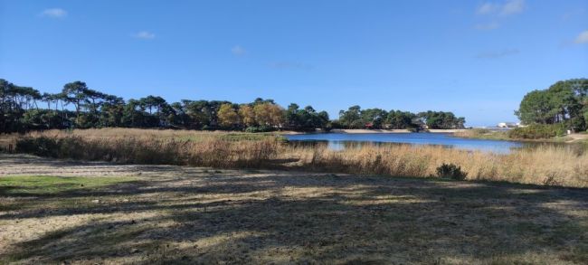 Proche Courant Mimizan Plage (40200)