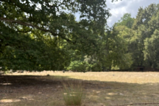 Situé proche du bourg de Martignas 33127 en première ligne, ce terrain à bâtir borné sera à viabiliser pour votre projet Les Demeures d'Aquitaine pour une superficie de 1415 m²