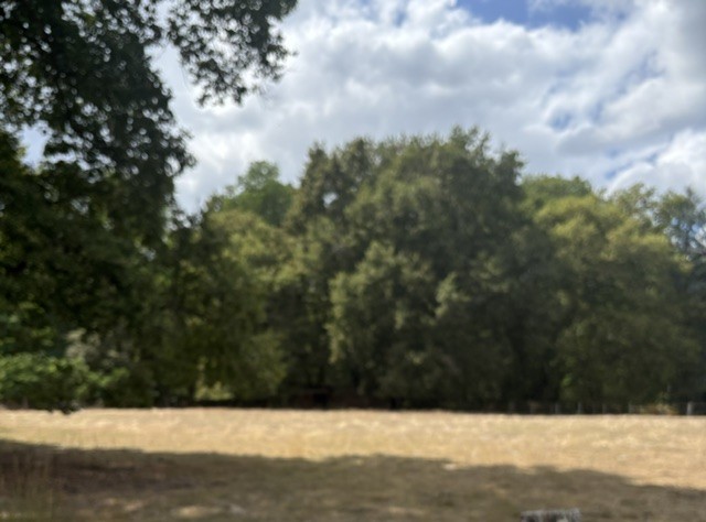 terrain à bâtir sur la commune Hourtin 33990 borné et viabilisé proche du lac des écoles et des commerces