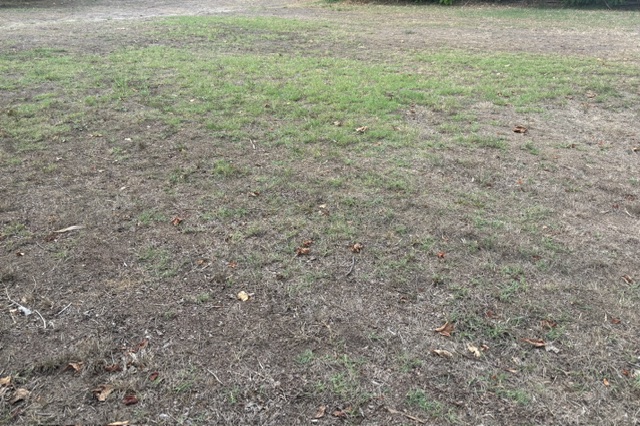 situé sur la commune de Blanquefort 33290 ce terrain diffus de 563 m² est proposé par les Demeures d'Aquitaine  borné et à viabiliser