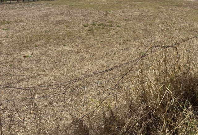situé en 3 ème ligne ce terrain diffus proposé par les Demeures d'Aquitaine sur la commune de Sainte Hélène 33480 est au prix de 139000 € pour 800 m² à viabiliser