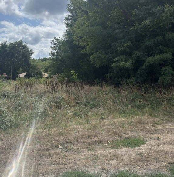 Le Pian Médoc 33290 terrain boisé de 1100 m² avec accès privatif de 30 m de long  zone pavillonnaire zone UC  borné à viabiliser