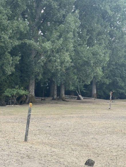 situé sur la commune d' Hourtin 33990 ce terrain à bâtir d' une superficie de 811 m² offre de nombreuses possibilités de type de construction  étant viabilisé borné bien exposé et très bien dimensionné  pour famille ou ivestissemen