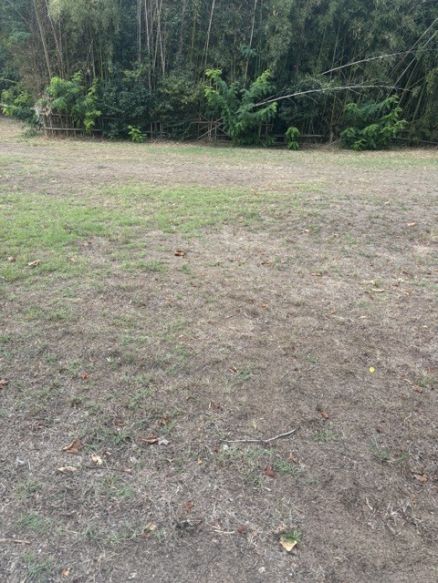Terrain à bâtir Hourtin 33990 d' une superficie  de 834 m2 borné et viabilisé