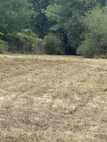 Macau ce terrain diffus de 676 m² est borné et à viabiliser les Demeures d'Aquitaine propose de vous accompagner dans votre projet son tarif est de 149000€
