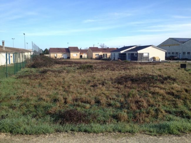 TERRAIN CONSTRUCTIBLE 600M2 COUTRAS 33230