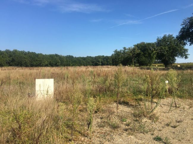 Terrain en lotissement situé sur la commune de Cazères sur l'Adour 40270