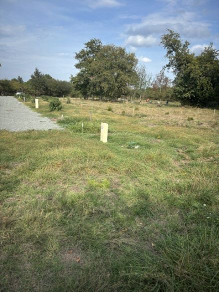 terrain diffus situé en première ligne à Martignas 33127 idéal investisseur ou primo accédant CONTRAINTE ONLIGATOIRE IMPLANTATION superficie de 695 m² borné et à viabiliser