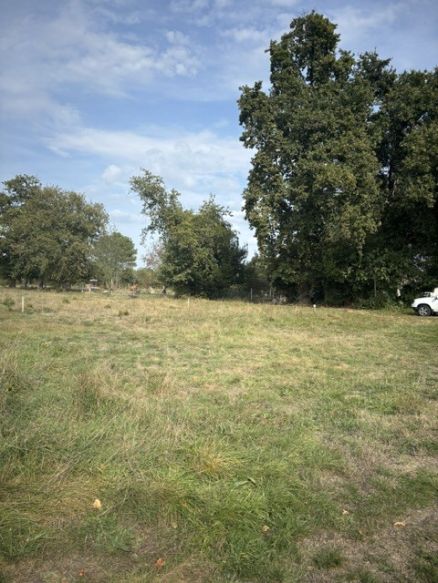Merignac La Forêt 33700 terrain diffus borné proposé par les Demeures d'Aquitaine d'une superficie de 400 m² environ