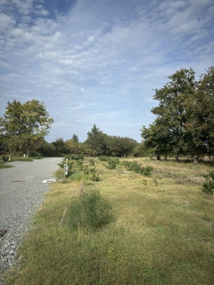terrain viabilisé et borné  sur Hourtin 33990 proposé par les Demeures d'Aquitaine idéal primo accédant ou investissuer