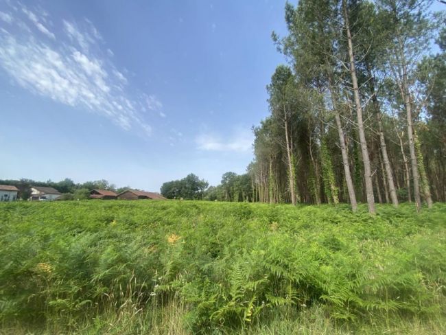 Terrain a vendre 800 m2 Saint  Médard en jalles