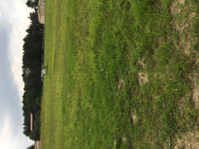 TERRAIN A CONSTRUIRE NOAILLAC