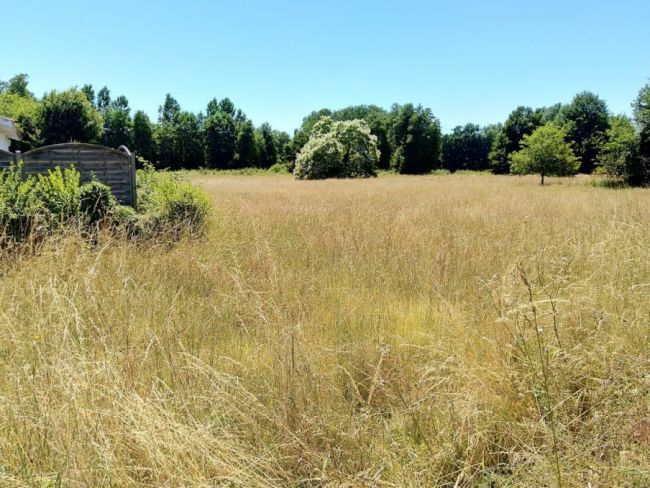 Terrain à construire à SALLES de 823 m²