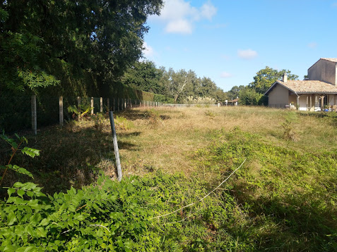 Terrain constructible à LEOGNAN (33850)