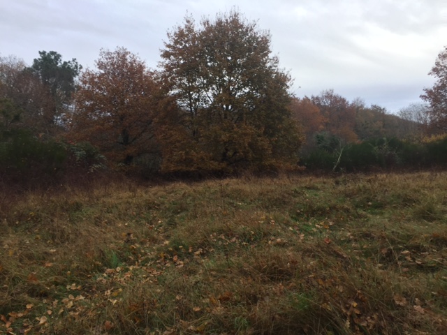 Terrain de 1200 m² sur la commune de Podensac.