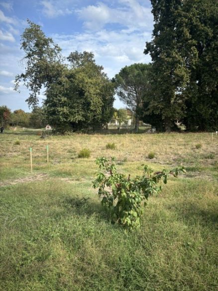 Terrain à bâtir borné et à viabiliser sur Saint Médard 33160 idéal pour primo accédant ou investisseur
