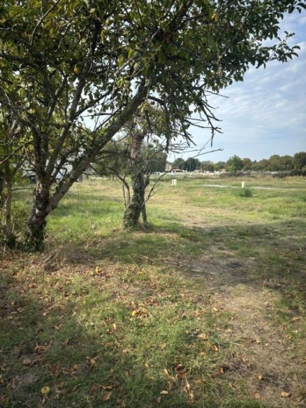 Secteur Saint Trelody, terrain borné et à viabiliser de 623 m² proposé par les Demeures d'Aquitaine