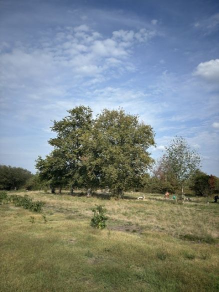Terrain à bâtir de 701 m² avec 25 % d'emprise au sol situé en deuxième ligne idéal pour un projet de 120 m² habitable les Demeures d'Aquitaine 33700 Mérignac