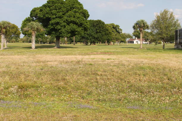 Terrain constructible Saint Aubin de médoc