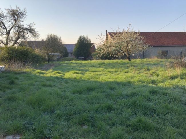 Le Taillan-Médoc : Grand terrain à bâtir de 1 012 m² avec 35 % d'emprise au sol