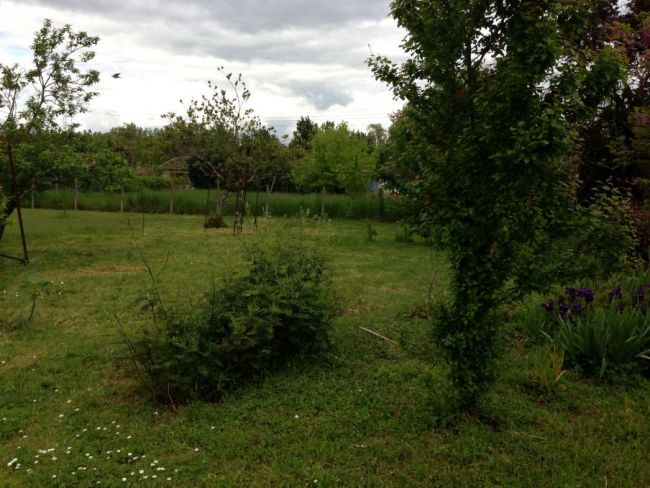 Terrain de 730 m² sur LA RIVIERE