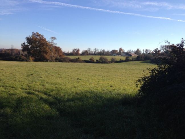 Terrain de 1900 m² sur la commune de Verdelais