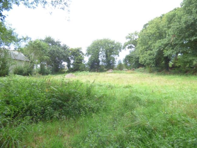 Opportunité rare au Taillan-Médoc : Grand terrain de 3 300 m² proche nature