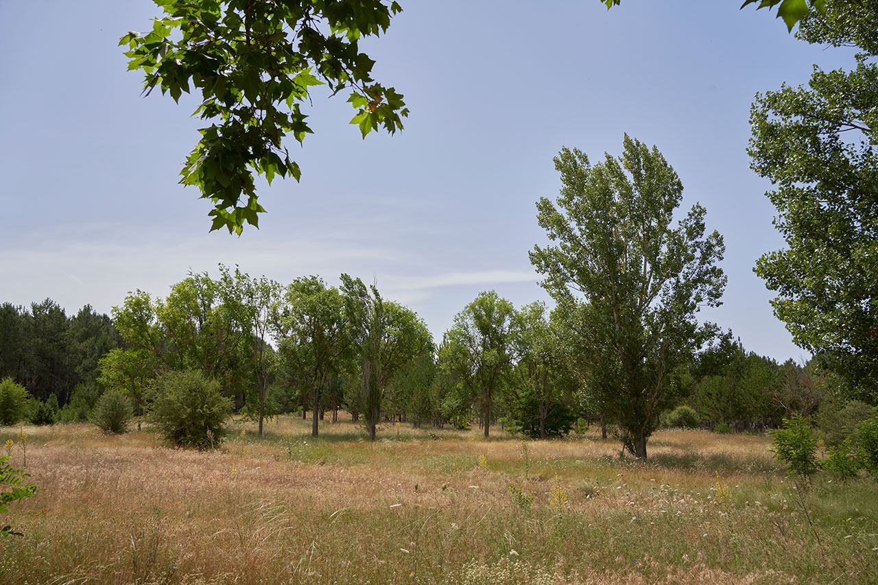 Terrain Arès 460 m²