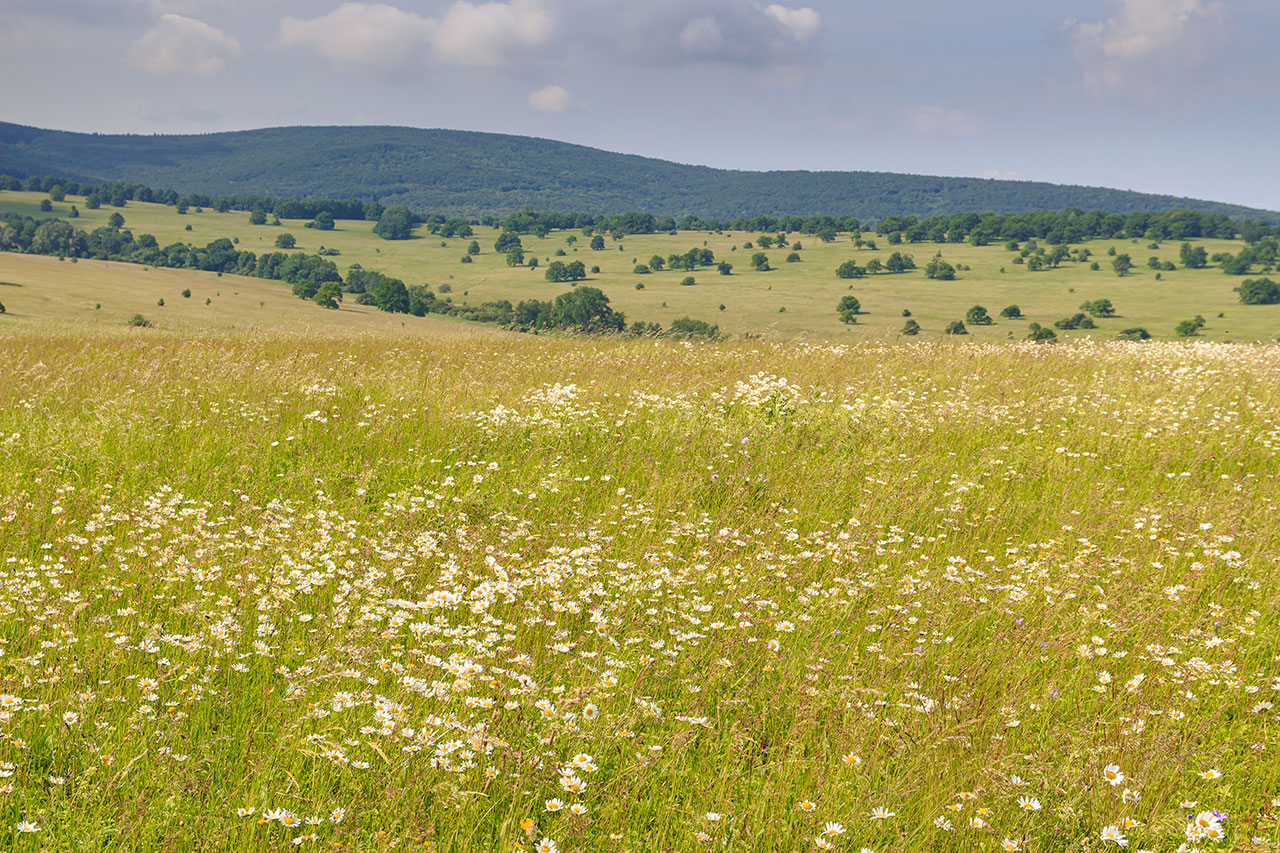 Terrain de 570 m² à Arès