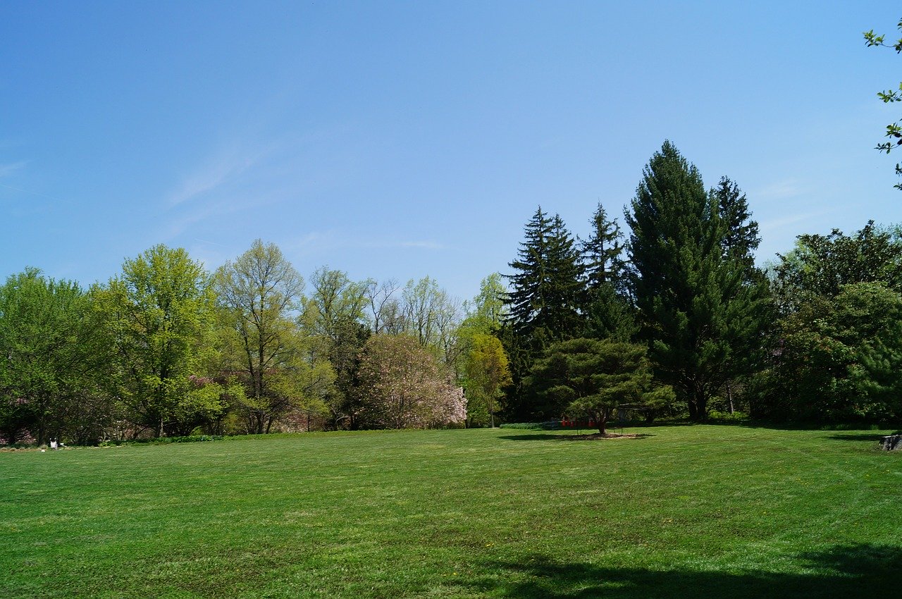 Vue foret terrain à batir de 1009m² 33160 Saint Medard En Jalles