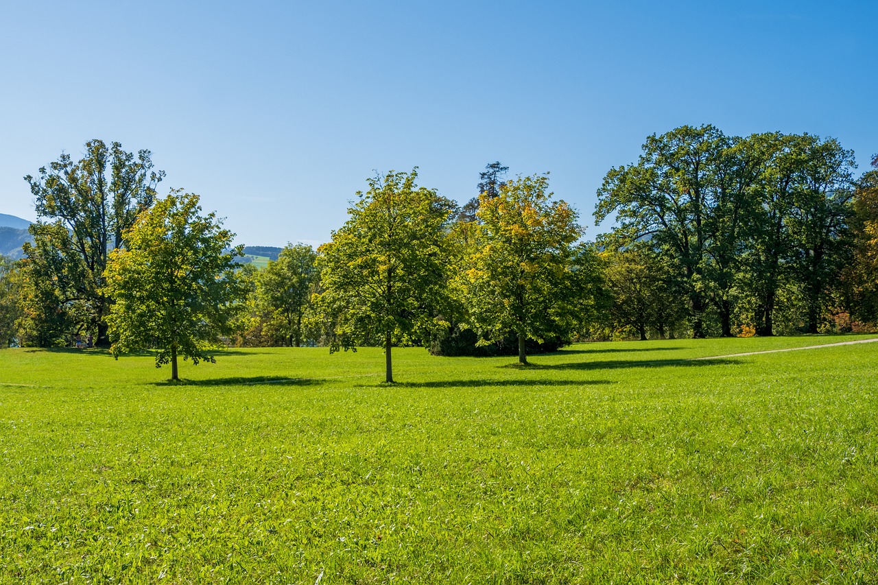 Terrain à vendre sur la commune de MARANSIN 33230